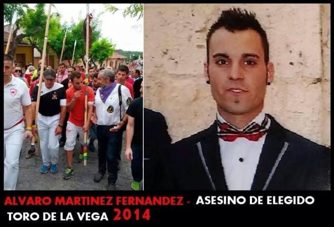 Toro-de-la-Vega_El-Asesino-de-2014_Alvaro-Martin-2