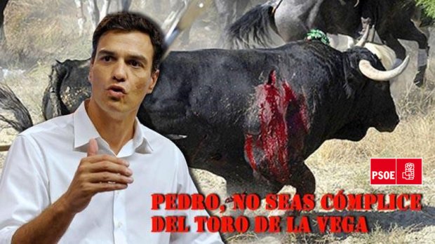 ToroDeLaVega-Firmas-Pedro-Sanchez